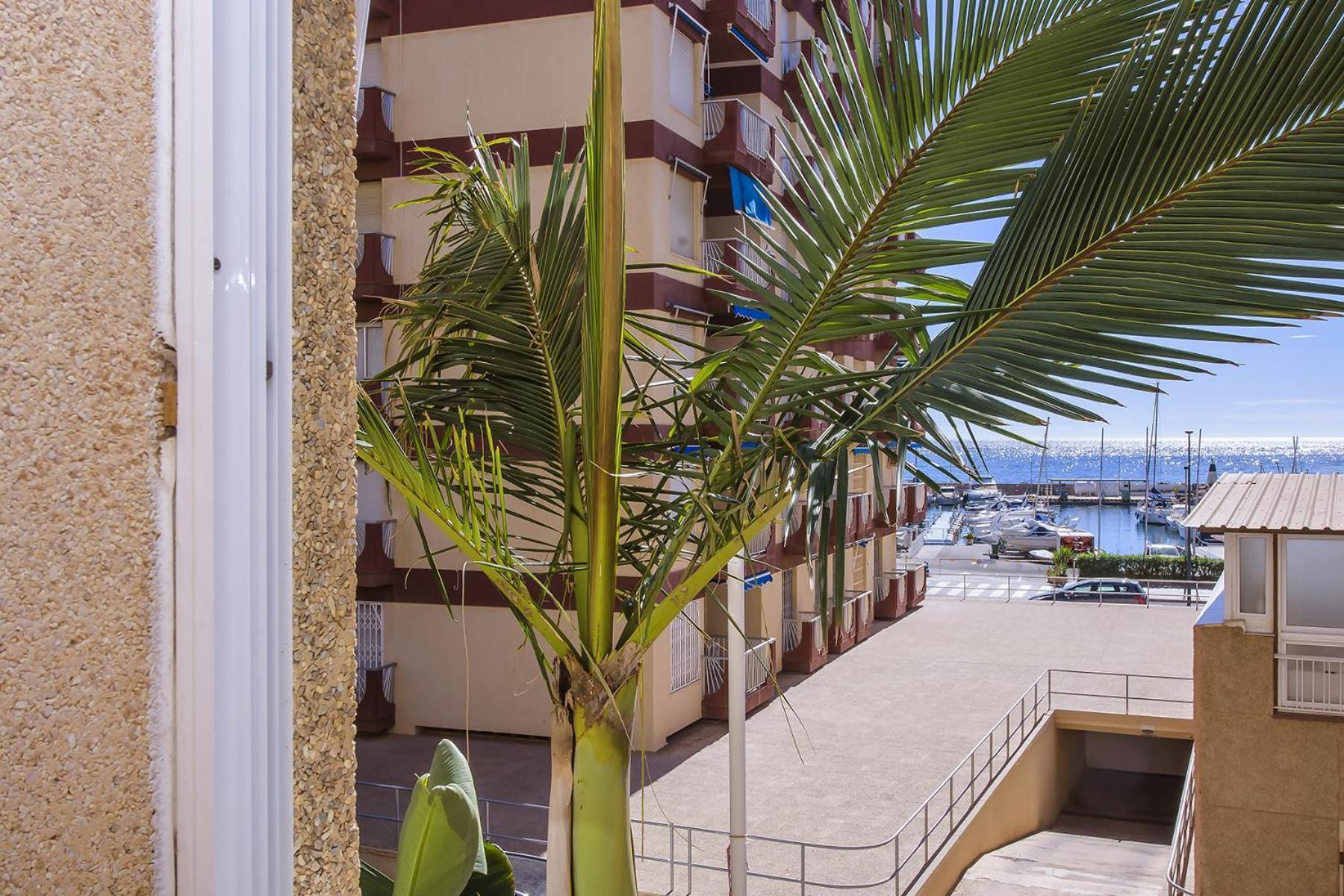 Aguilas Delicias Piscina Wifi Ac Parking Gratis Bagian luar foto
